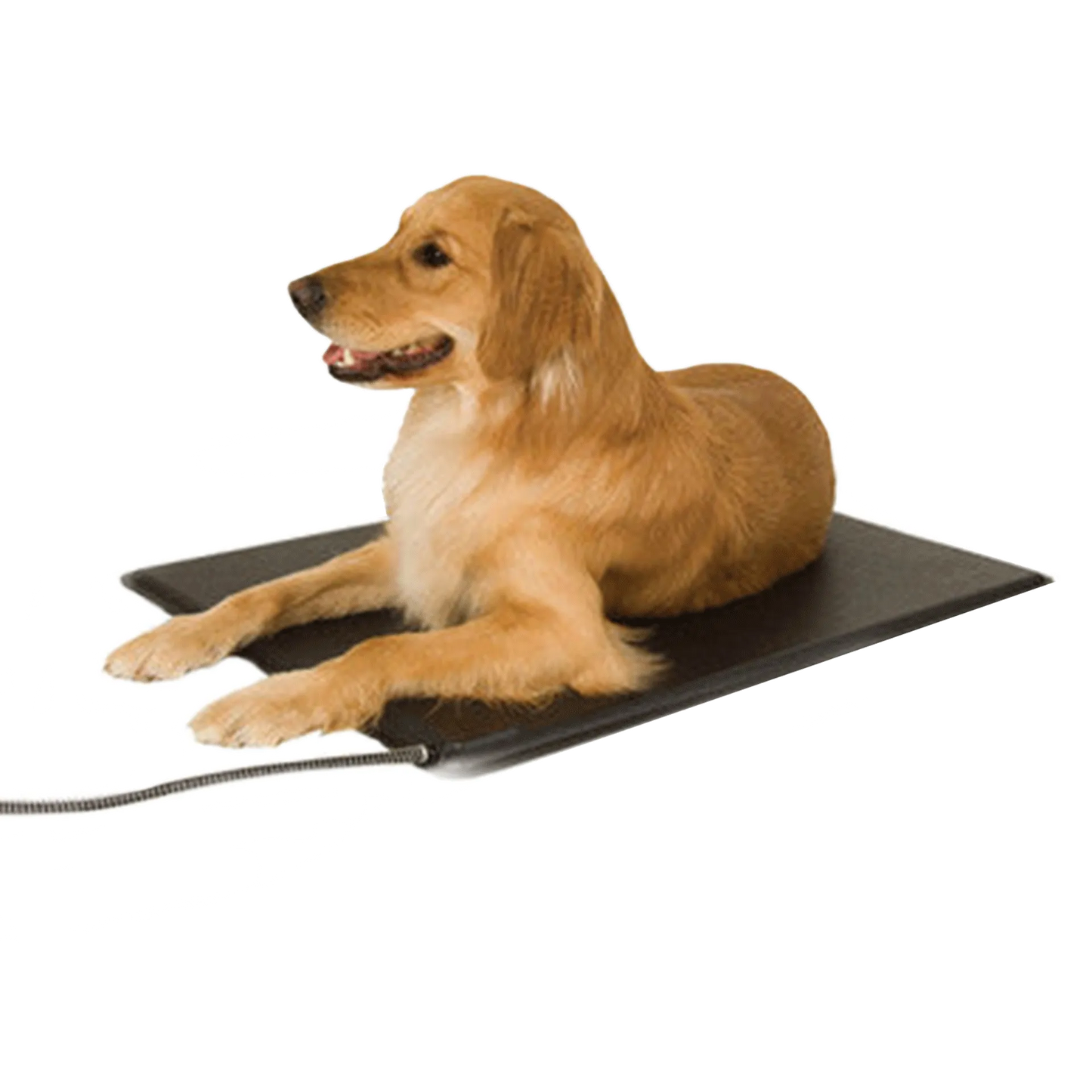 Lectro-Kennel® Heated Pad & Cover,"Dog lying on black heated pet pad"