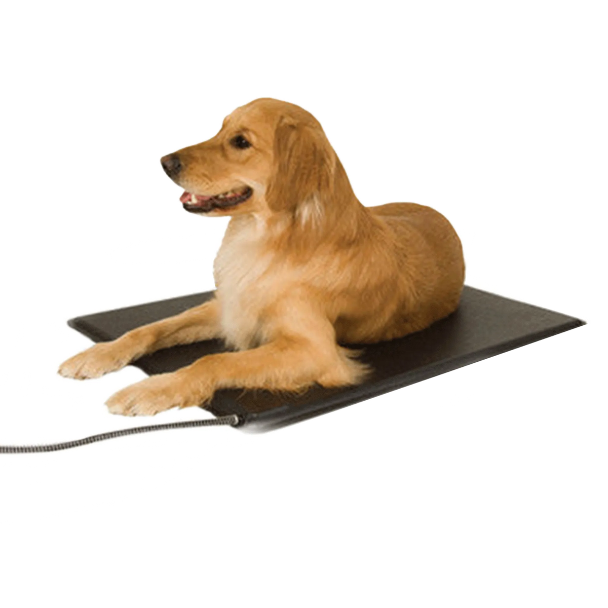 Lectro-Kennel® Heated Pad & Cover,"Dog lying on black heated pet pad"