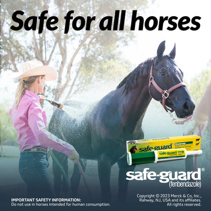 Safe-Guard® Equine Dewormer,"Paste dewormer syringe with yellow box featuring horse photo"