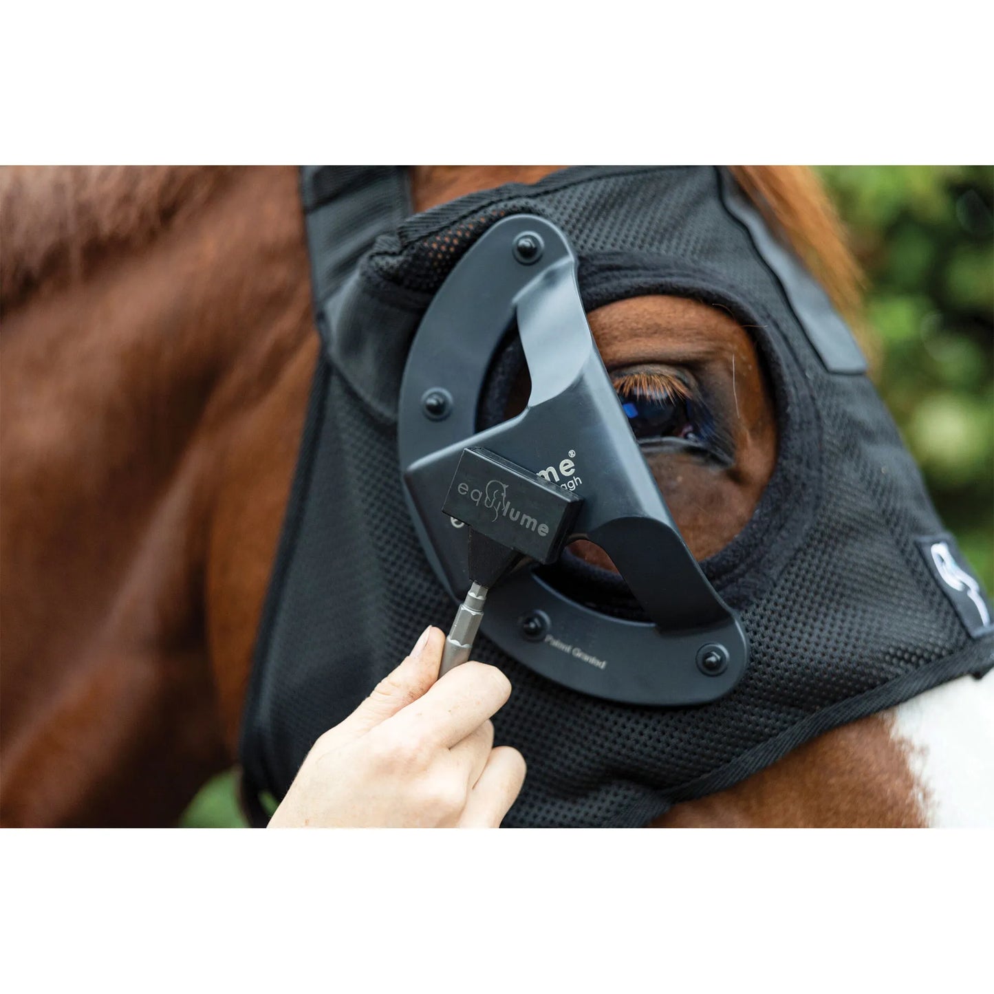 Equilume Pro Light Mask,"Horse wearing black eye mask with attached light unit"