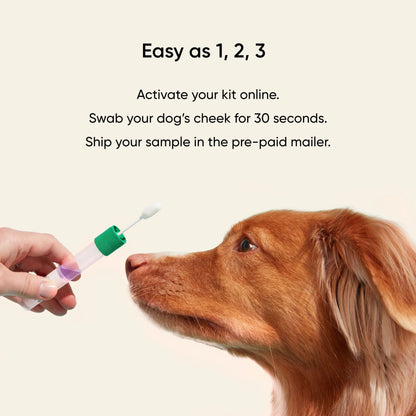 Embark® for Breeders Dog DNA Test Kit,"Hand holding cheek swab tube for dog DNA sample"