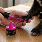 Non-toxic Nail Polish,"Dog paw being painted with bright pink nail polish"
