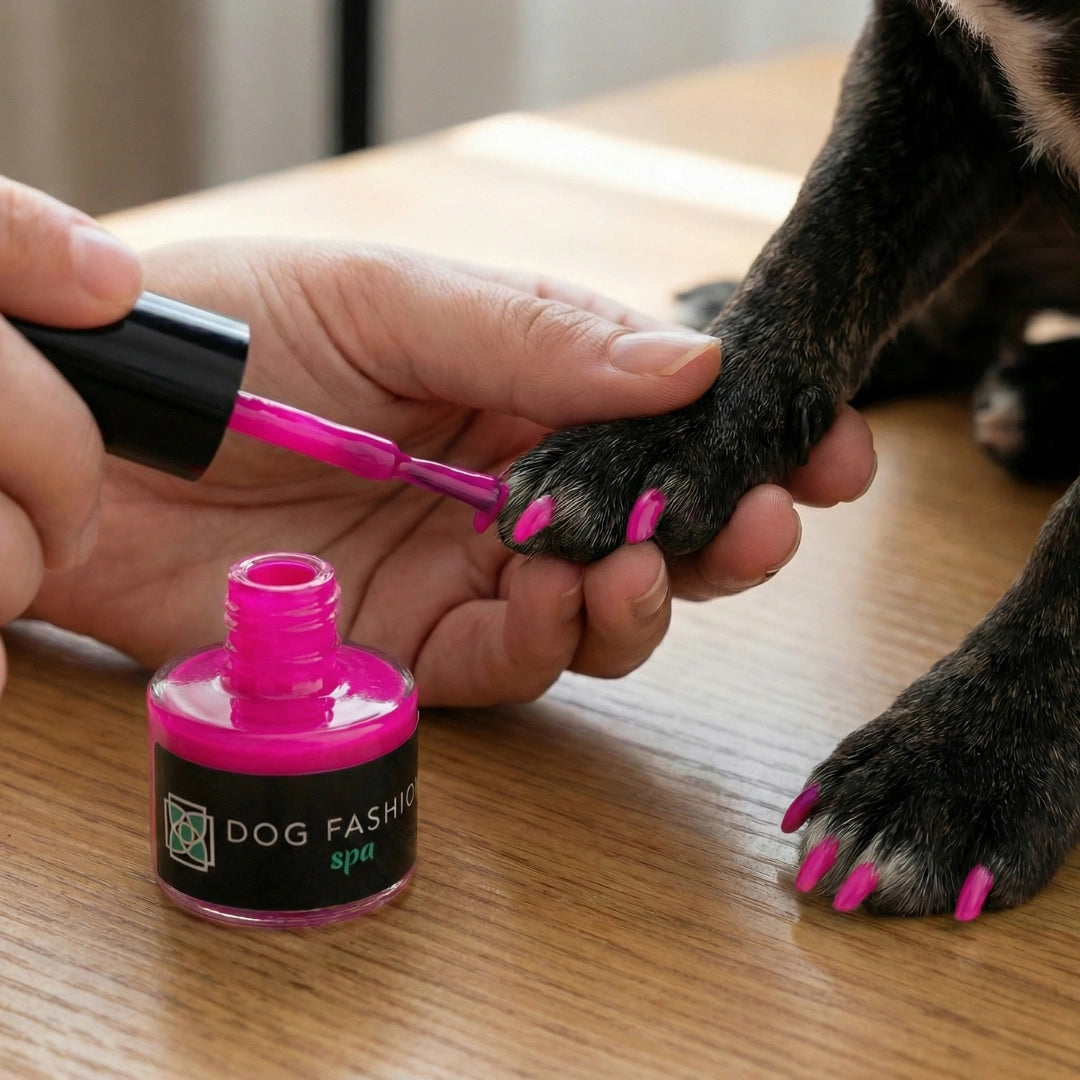 Non-toxic Nail Polish,"Dog paw being painted with bright pink nail polish"