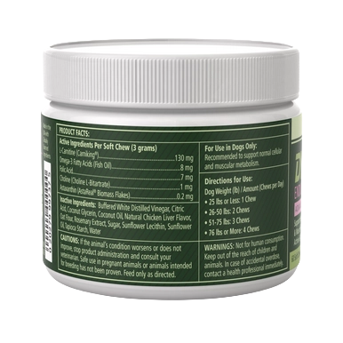 PetAg Dyne Soft Chews Endurance & Vitality,"White plastic jar with green wraparound label, side view"