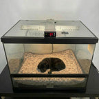 Puppywarmer Fleece Inserts,"Fleece insert lining a glass puppy warmer enclosure"