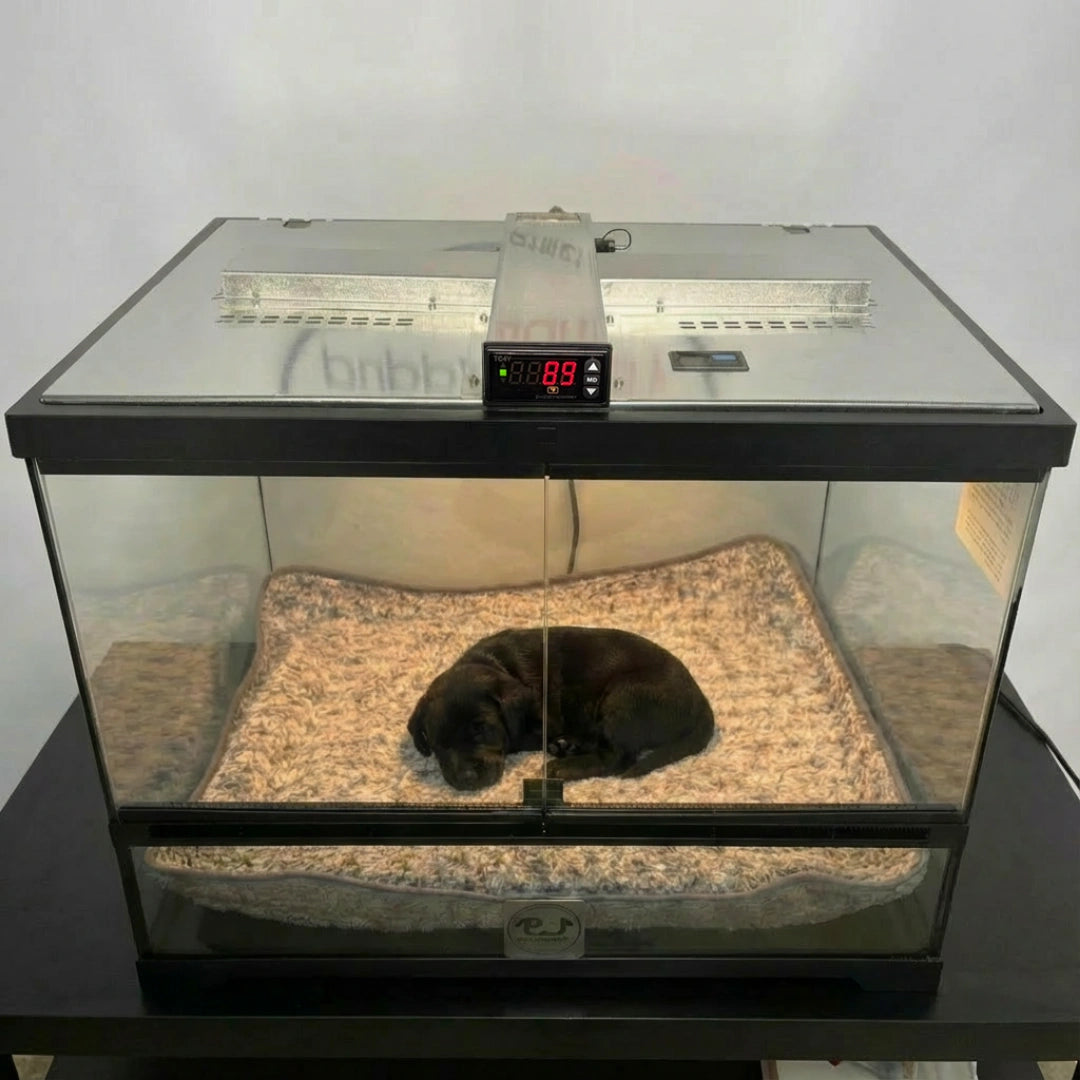 Puppywarmer Fleece Inserts,"Fleece insert lining a glass puppy warmer enclosure"