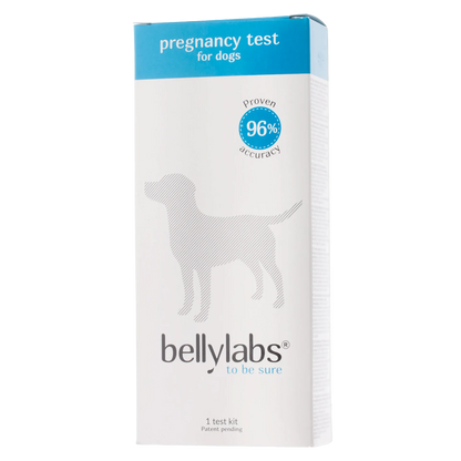 BellyLabs® Canine Pregnancy Test,"Blue and white test kit box with dog silhouette"