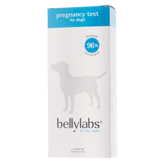 BellyLabs® Canine Pregnancy Test,"Blue and white test kit box with dog silhouette"