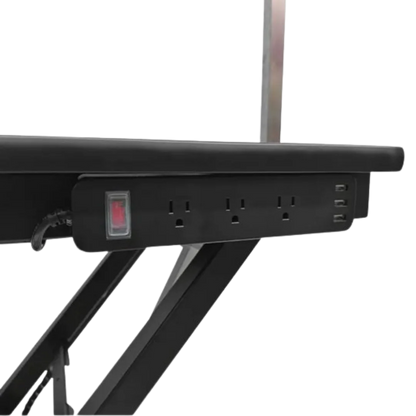 "50"" Dog Grooming 908 Electric Table without Drawer by Waggz","Close-up of table edge with power outlets and switch"