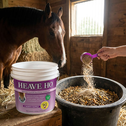Heave Ho™,"Purple supplement bucket beside horse and feed scoop"