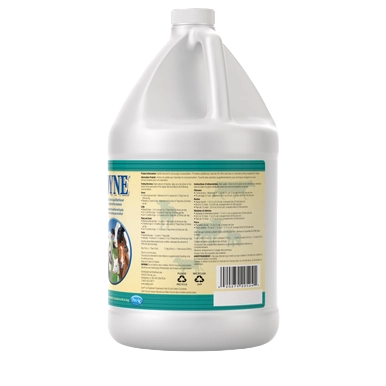 PetAg Dyne High Calorie Liquid Nutritional Supplement for Livestock,"Large white gallon jug with handle and back label"