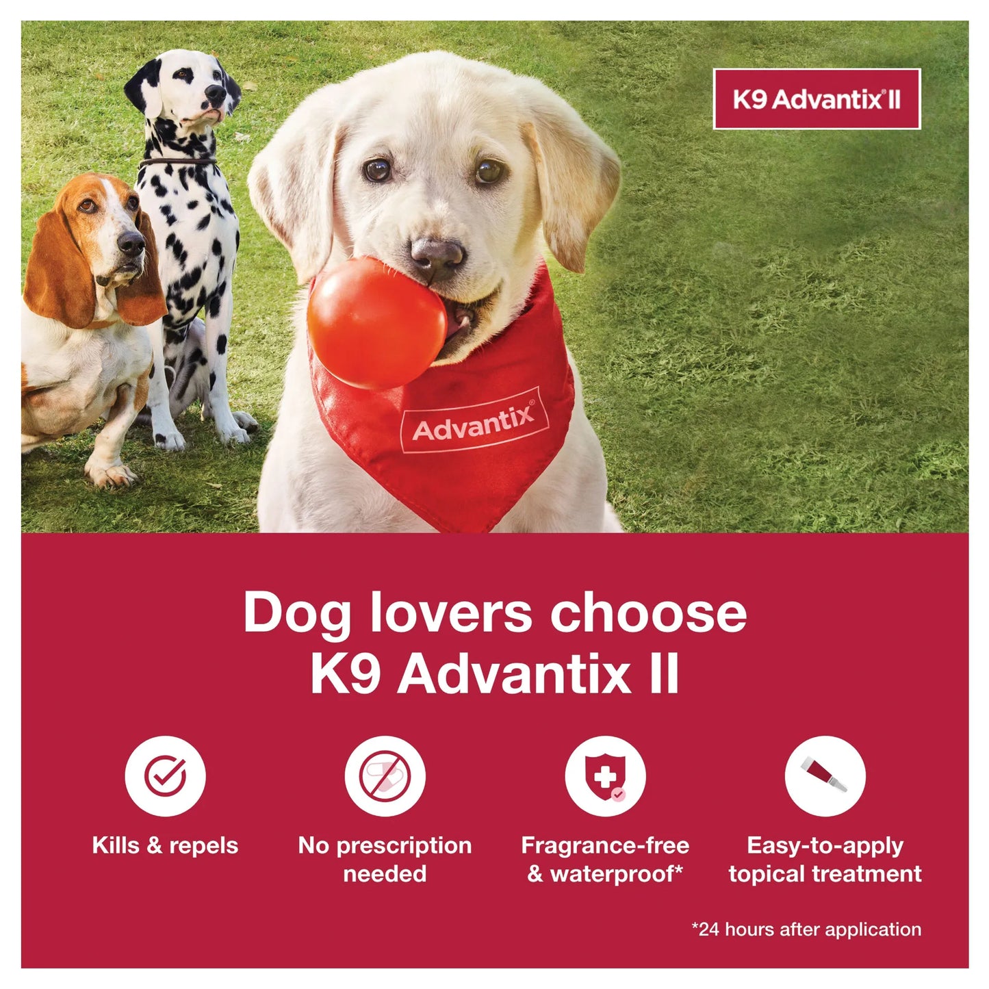 K9 Advantix™ II,"Three dogs on grass, front dog with red ball and bandana"
