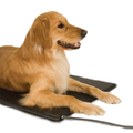 Lectro-Kennel® Heated Pad & Cover,"Dog lying on black heated pad with attached cord"