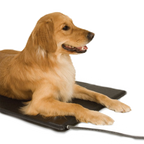 Lectro-Kennel® Heated Pad & Cover,"Dog lying on black heated pad with attached cord"