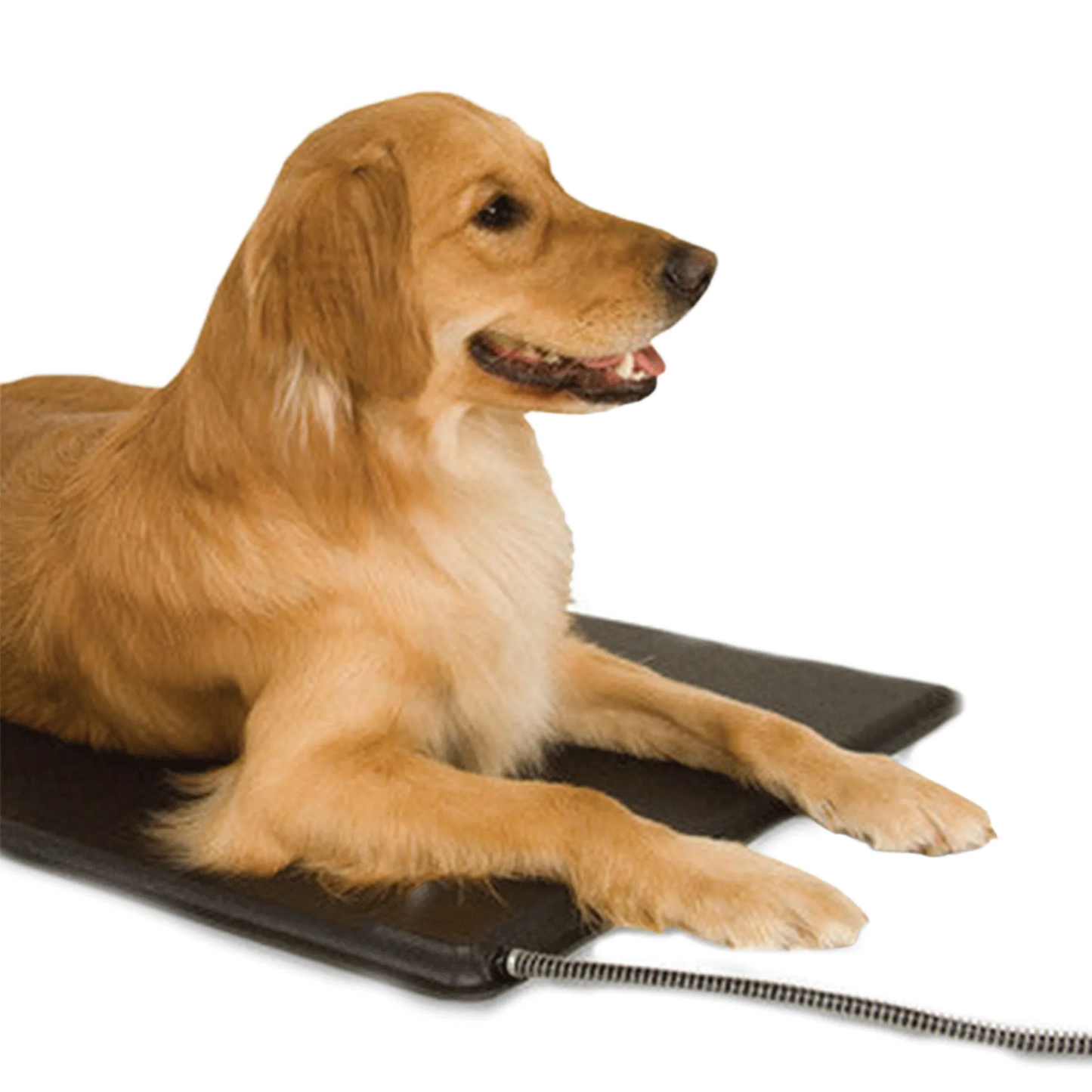Lectro-Kennel® Heated Pad & Cover,"Dog lying on black heated pad with attached cord"