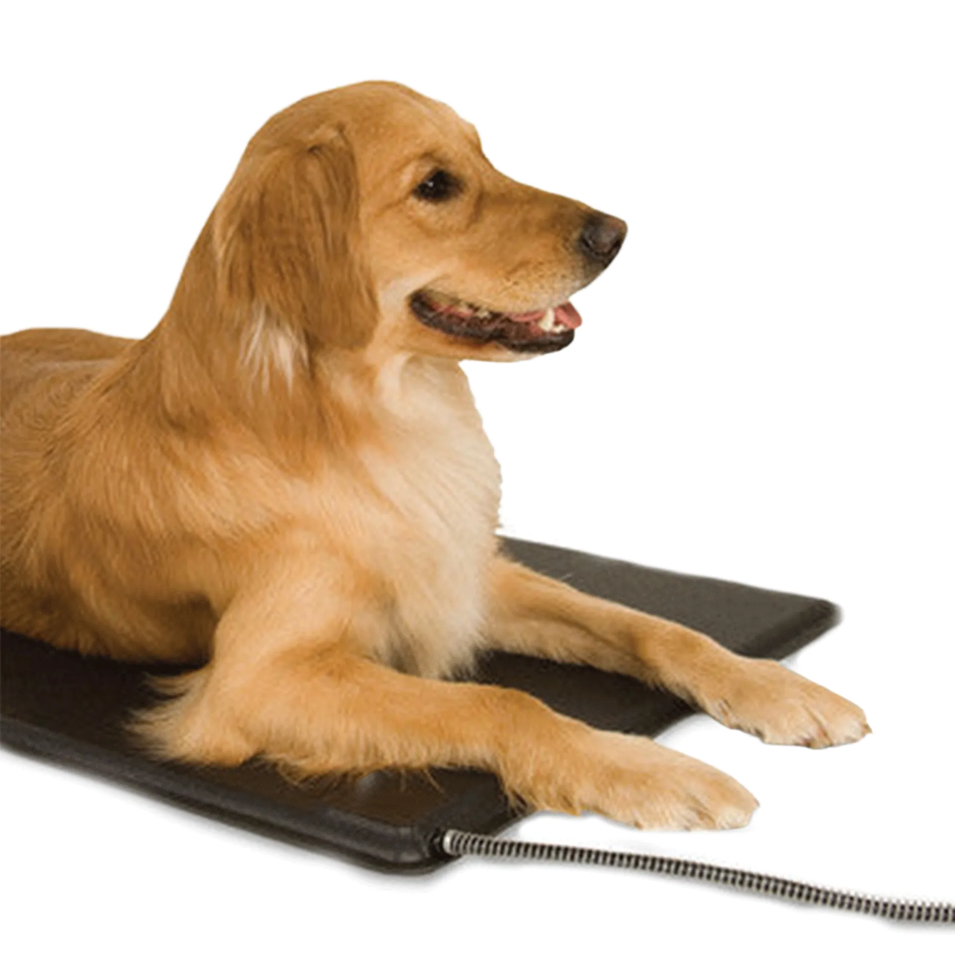 Lectro-Kennel® Heated Pad & Cover,"Dog lying on black heated pad with attached cord"