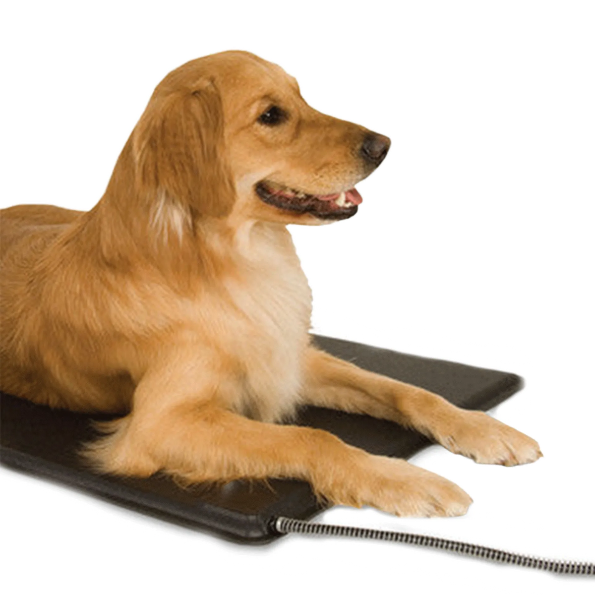 Lectro-Kennel® Heated Pad & Cover,"Dog lying on black heated pad with attached cord"