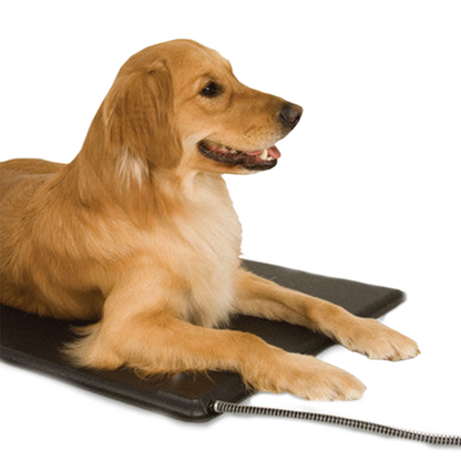 Lectro-Kennel® Heated Pad & Cover,"Dog lying on black heated pad with attached cord"