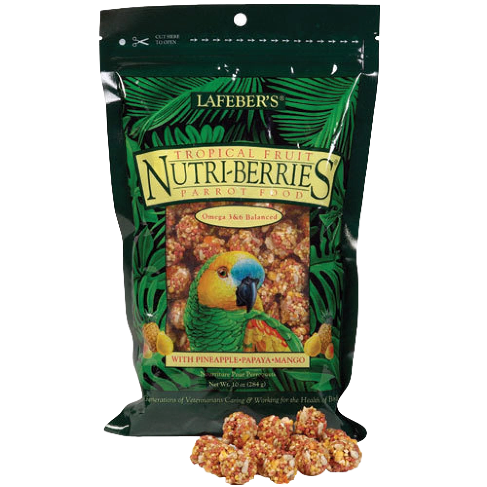 Lafeber Gourmet Tropical Fruit Nutri-Berries,"Green bird food bag with fruit-and-seed clusters in front"