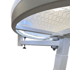 Premium Electric Table by TZGroom