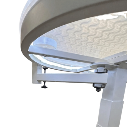 Premium Electric Table by TZGroom