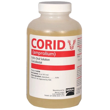 Corid® 9.6% Oral Solution,"Plastic bottle with white cap and front label"
