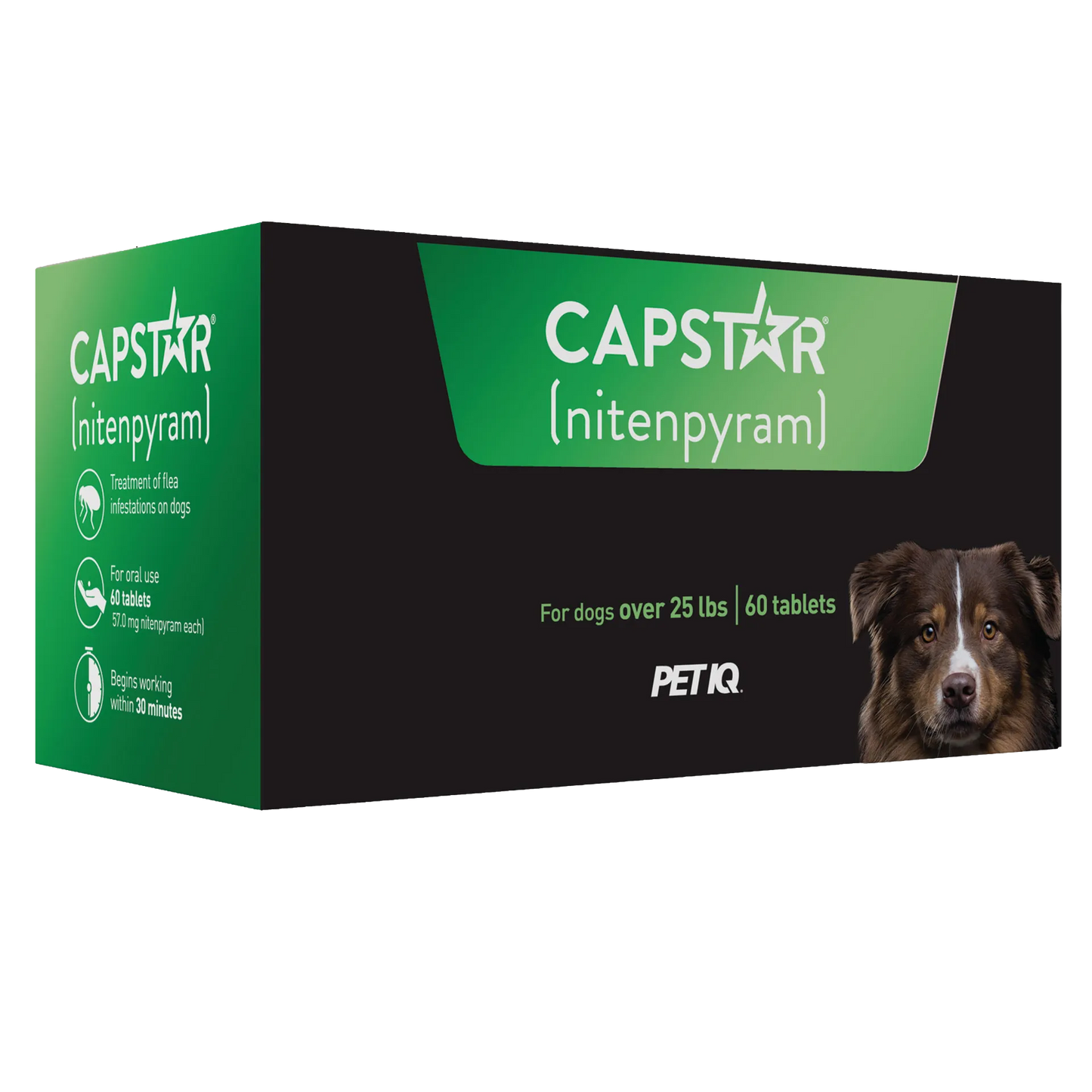 Capstar™,"Green and black product box with dog photo, angled front view"