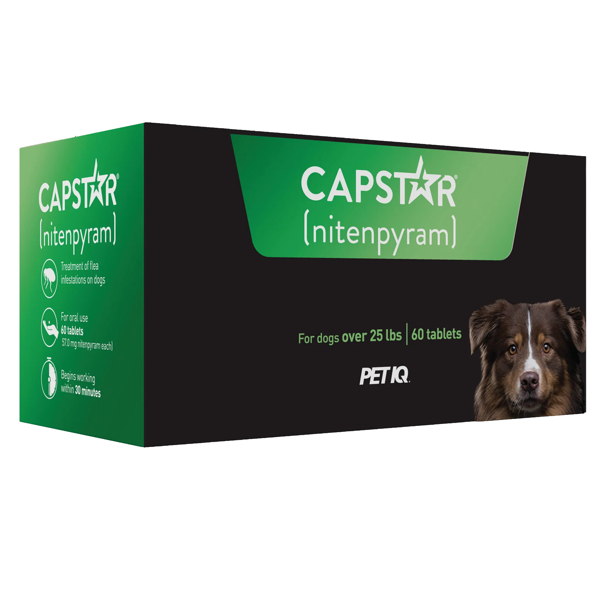Capstar™,"Green and black product box with dog photo, angled front view"