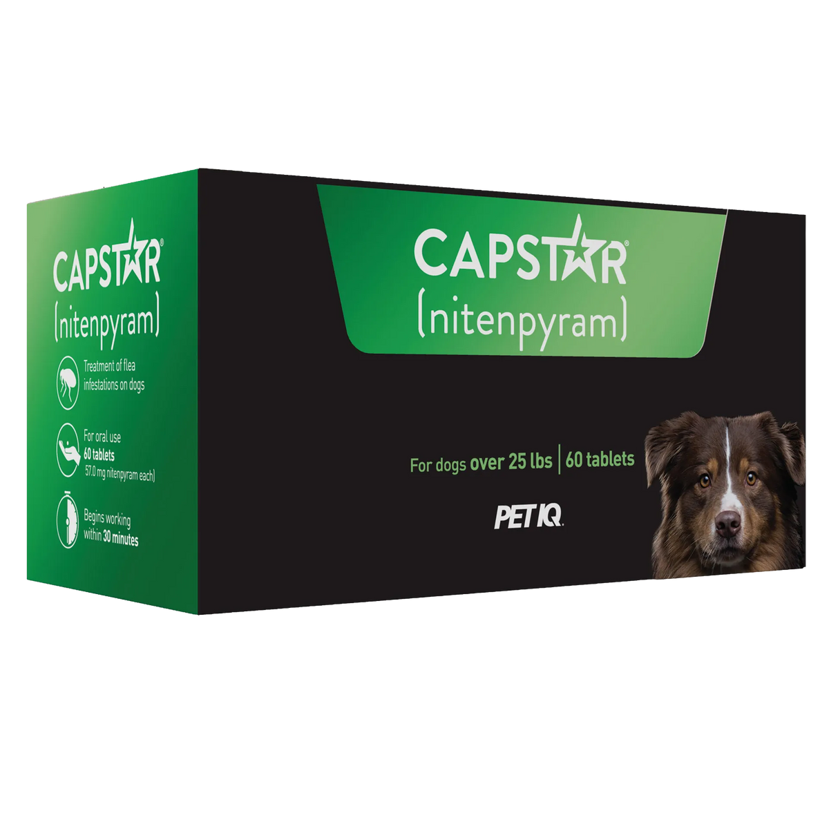 Capstar™,"Green and black product box with dog photo, angled front view"
