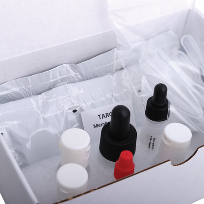 Equine Progesterone Test
