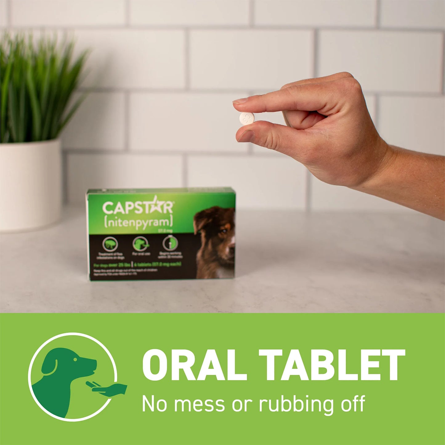 Capstar™,"Hand holding round white tablet above product box"