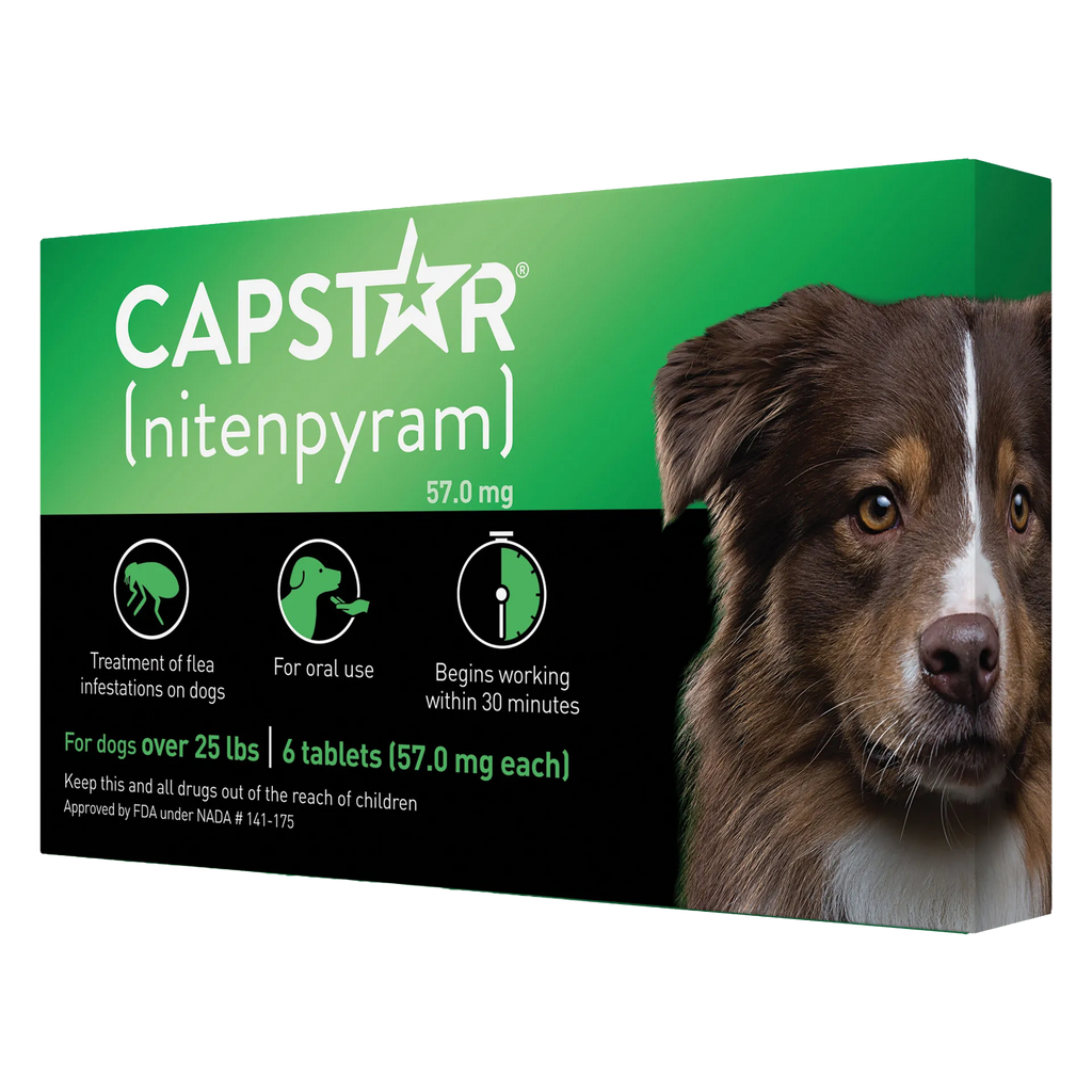 Capstar™,"Green and black box with dog portrait"