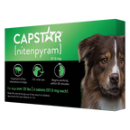 Capstar™,"Green and black box with dog portrait"