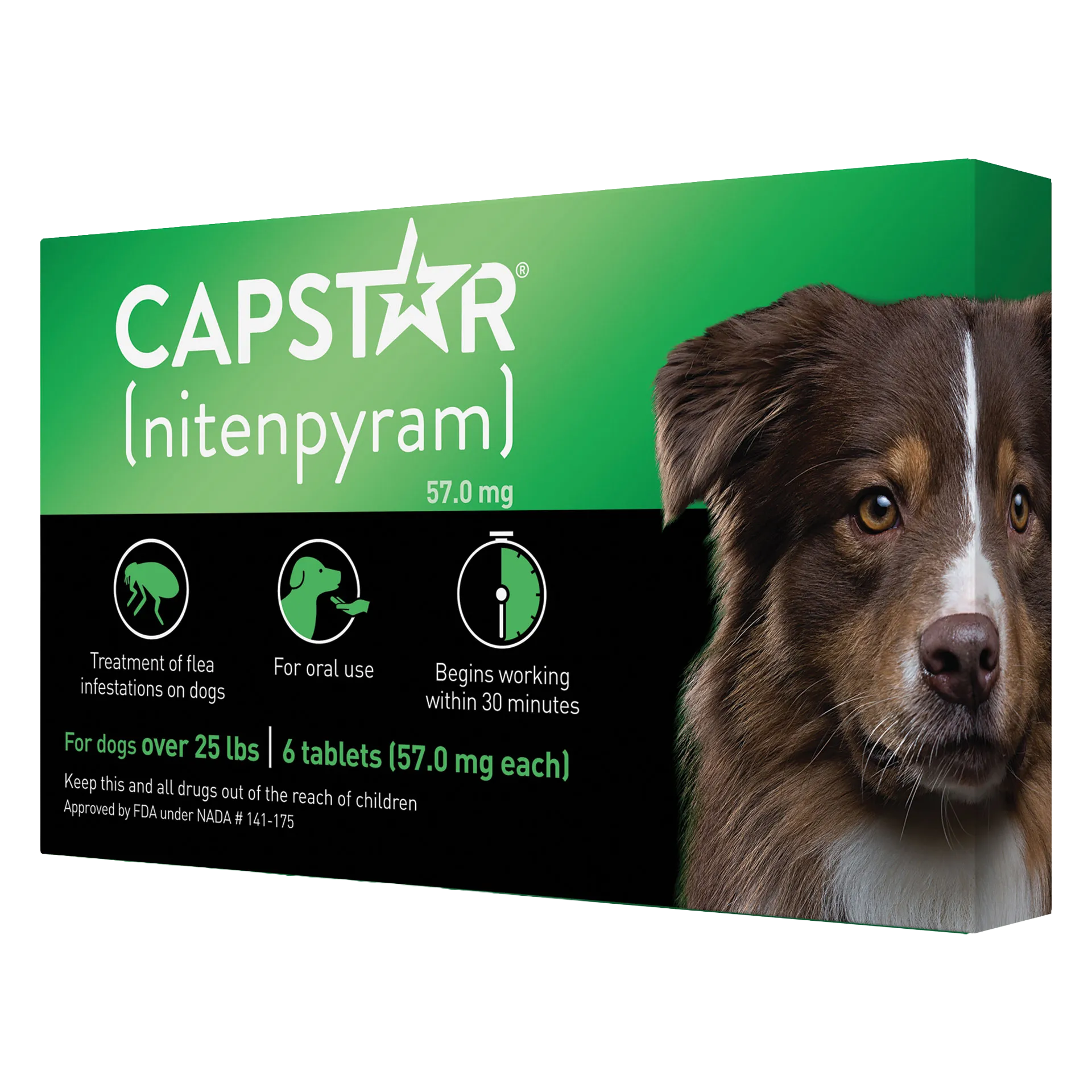 Capstar™,"Green and black box with dog portrait"