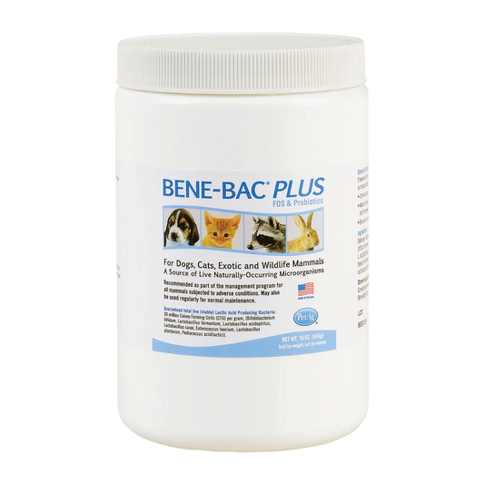 Bene-Bac® Plus,"White plastic jar with ribbed screw-top lid and front label"
