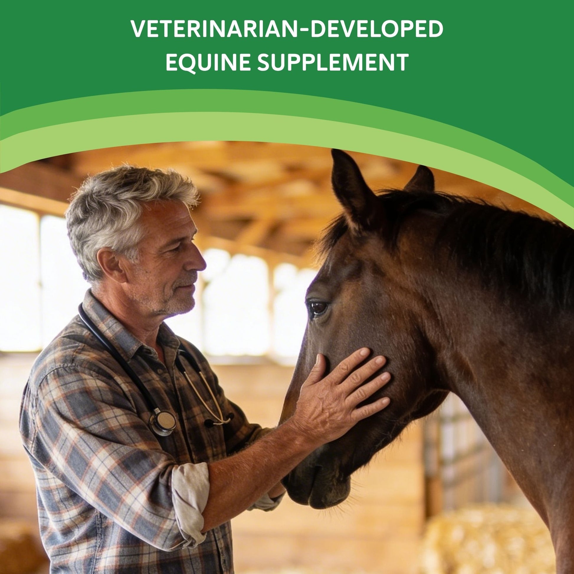 Heave Ho™,"Veterinarian examining a horse in a barn"