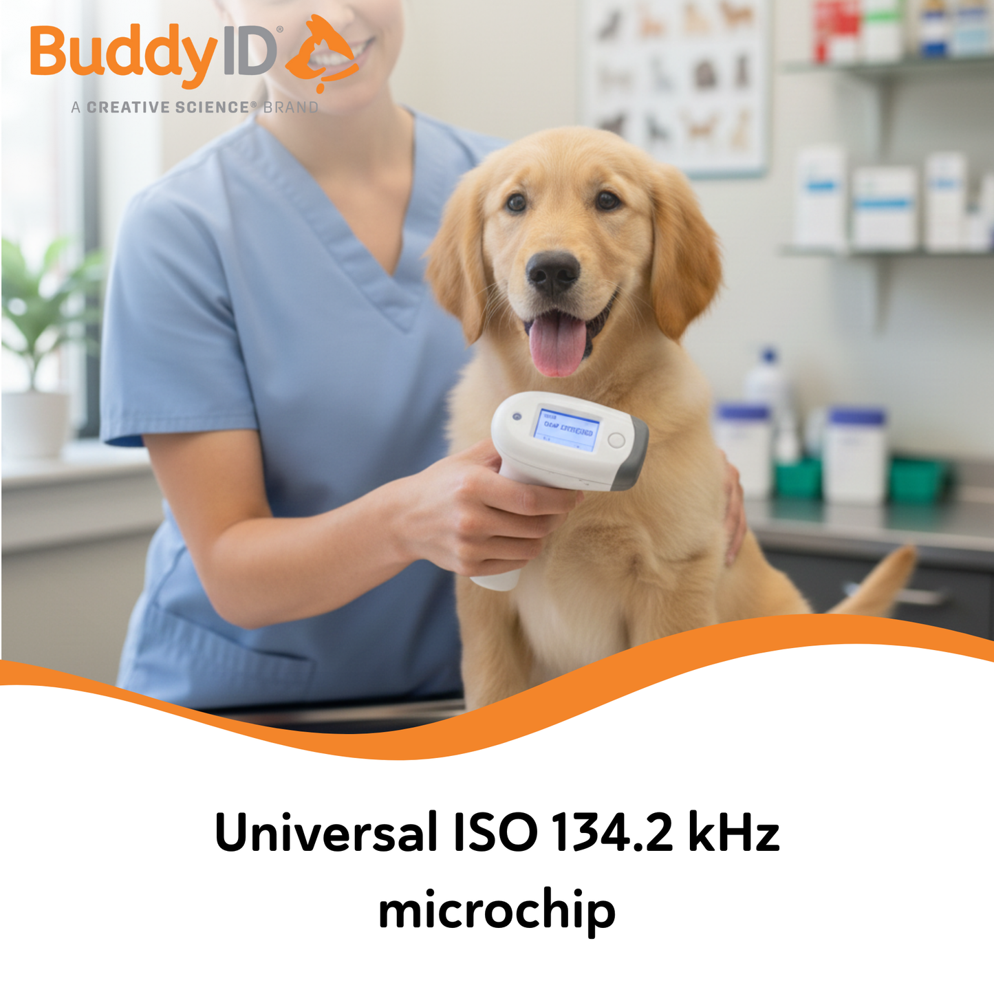 BuddyID®  ISO Microchip,"Dog being scanned with handheld microchip reader"