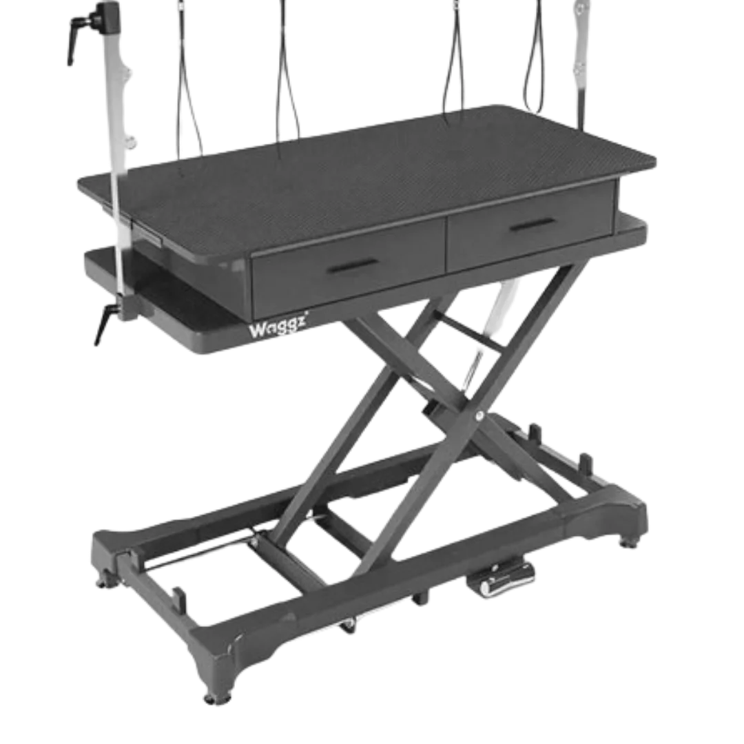 "50"" Dog Grooming 999P Electric Table with Drawer by Waggz","Electric grooming table with textured top, arm posts, and two drawers"