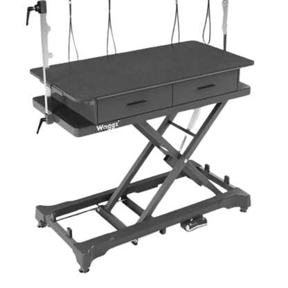 "50"" Dog Grooming 999P Electric Table with Drawer by Waggz","Electric grooming table with textured top, arm posts, and two drawers"