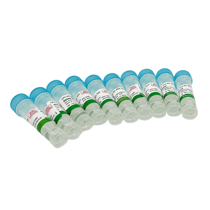 Antigen Canine Parvovirus Rapid Test Kit