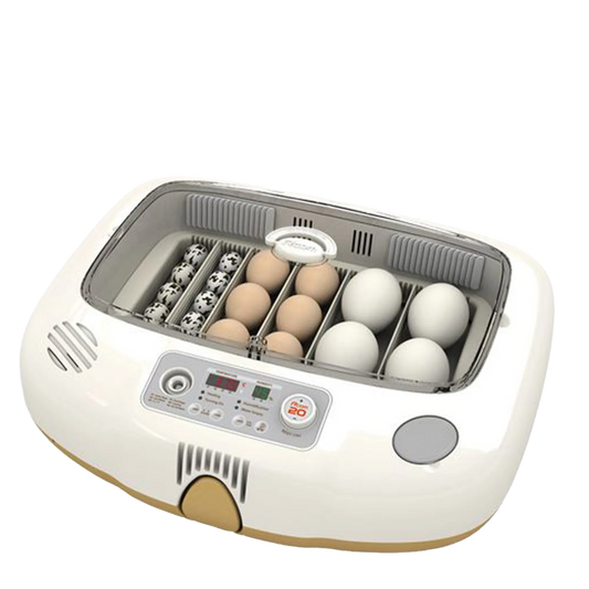 Max-20 DO Incubator by Rcom USA