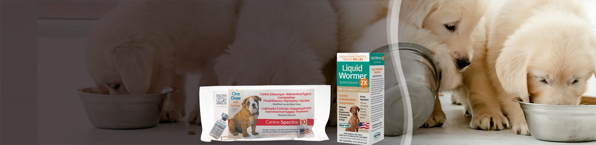 Bundle & Save