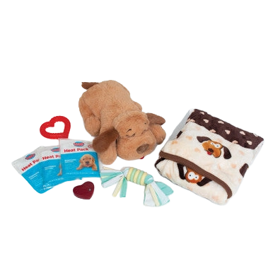 Snuggle Puppy Starter Kit,"Plush dog toy with folded blanket, heat packs, and striped bow"