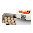 Max-20 Incubator by Rcom USA