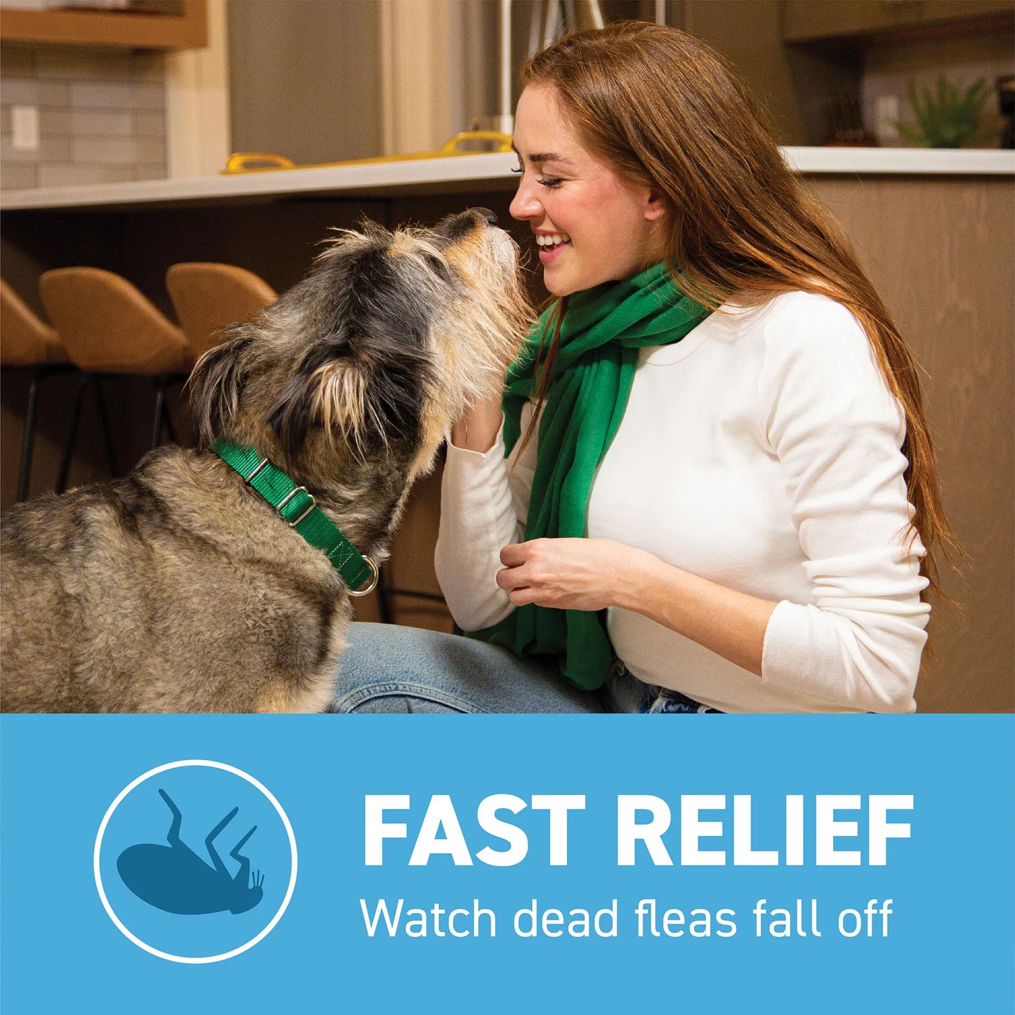 Capstar™,"Woman smiling at dog wearing green collar indoors"