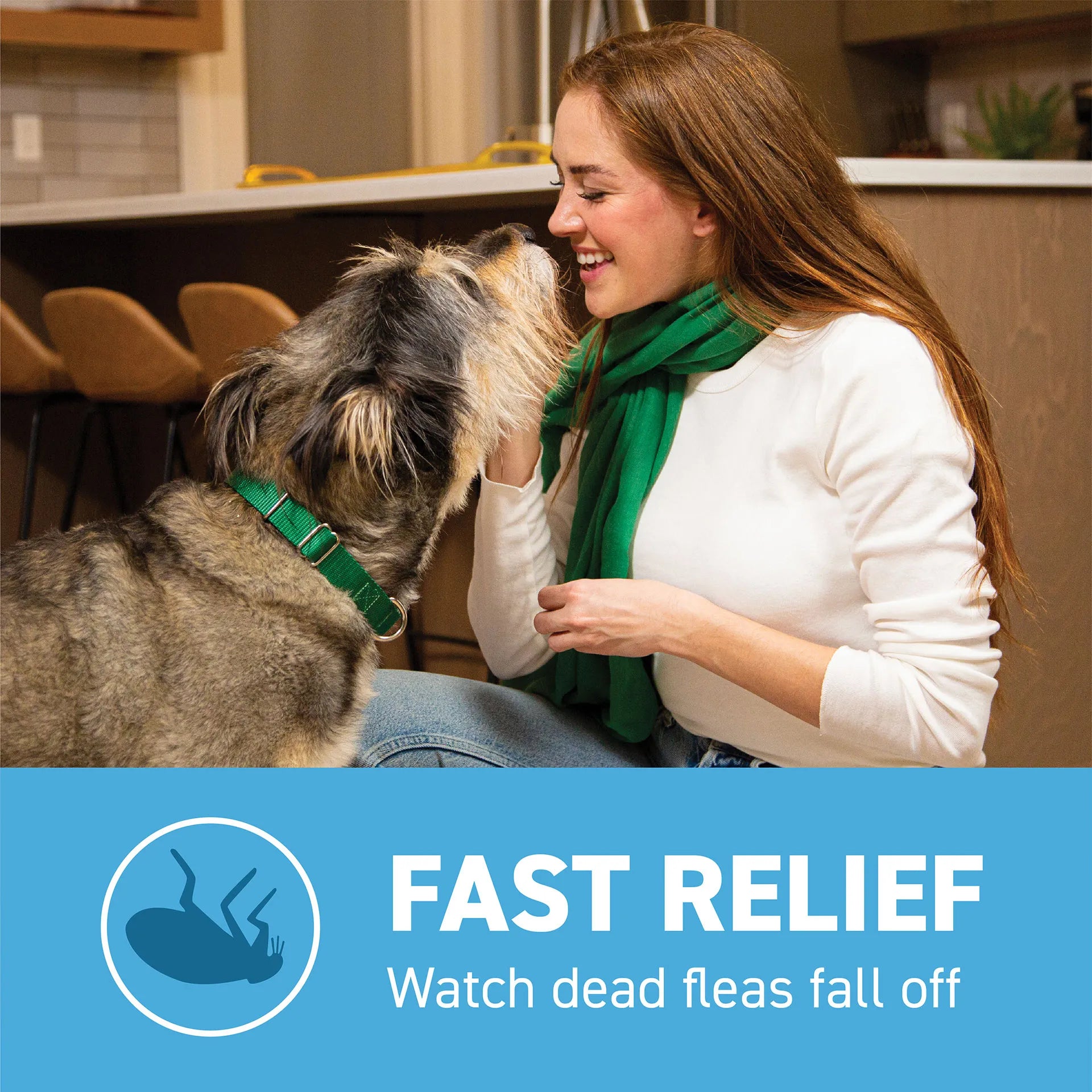 Capstar™,"Woman smiling at dog wearing green collar indoors"