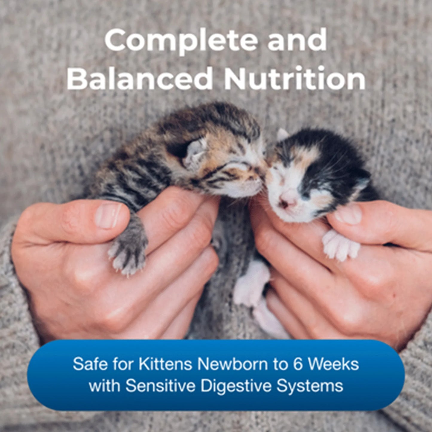 Goat's Milk KMR Kitten Milk Replacer Powder,"Two newborn kittens being held in hands"