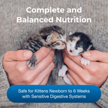 Goat's Milk KMR Kitten Milk Replacer Powder,"Two newborn kittens being held in hands"