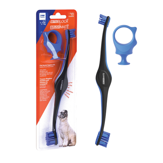 BrushMate Premium Toothbrush with Biteblock,"Packaged toothbrush with blue bite block and separate brush view"