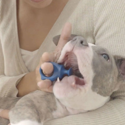 BrushMate Biteblock,"Blue bite block held in a puppy's open mouth"